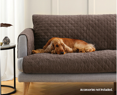 Pet Couch Cover Protector