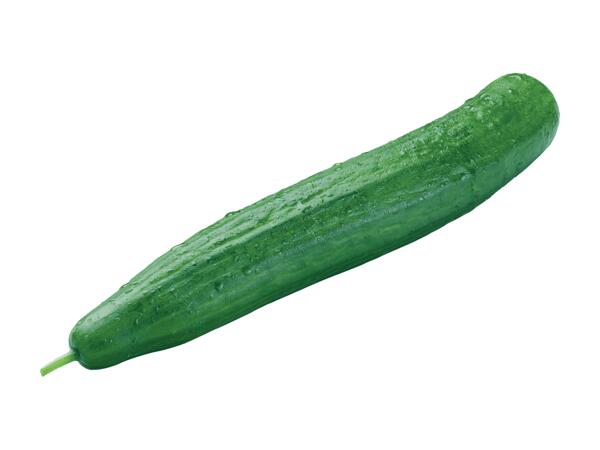 Gurke aus Österreich
