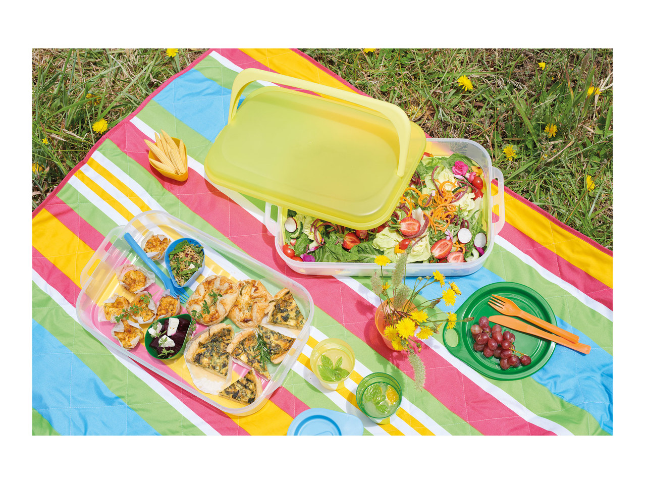 Ernesto Large Food Storage Container1