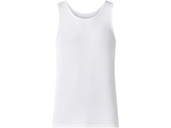 Spodní prádlo