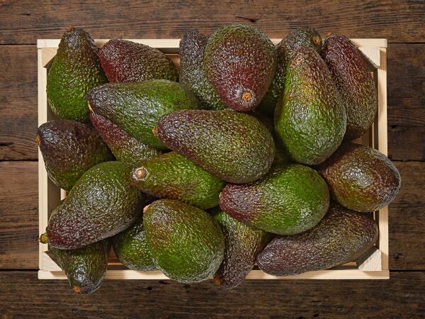 Avocado