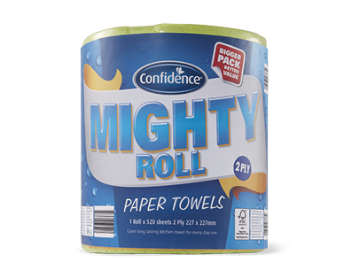 2PLY BULK PAPER TOWELS