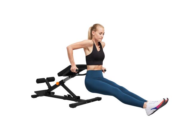 Multi Trainer