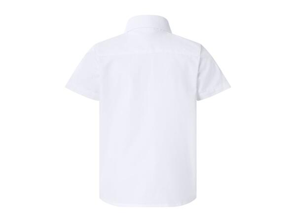 Short Sleeve Shirts - 2 Pack