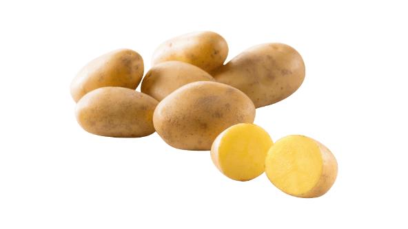 Pommes de terre à chair ferme