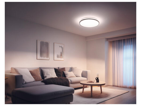 LIVARNO home Nástěnné / Stropní LED svítidlo