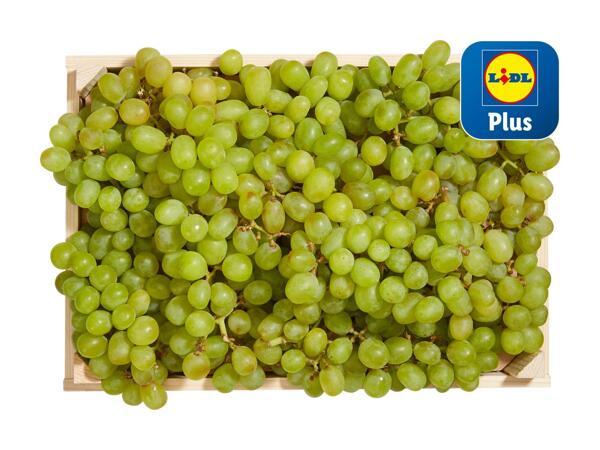 Raisin blanc bio