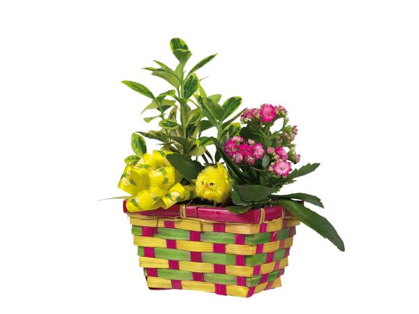 Easter Planter Basket