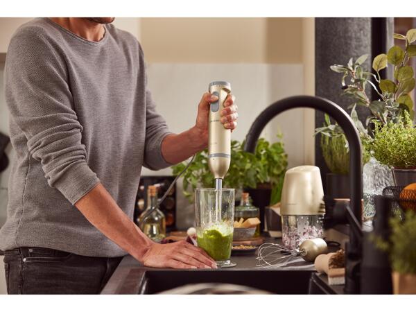 600W Hand Blender Set
