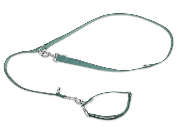 Hundehalsband/-leinen Set