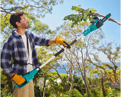 2-in-1 Chainsaw with Telescopic Pole