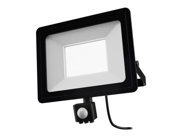LED Outdoor Light