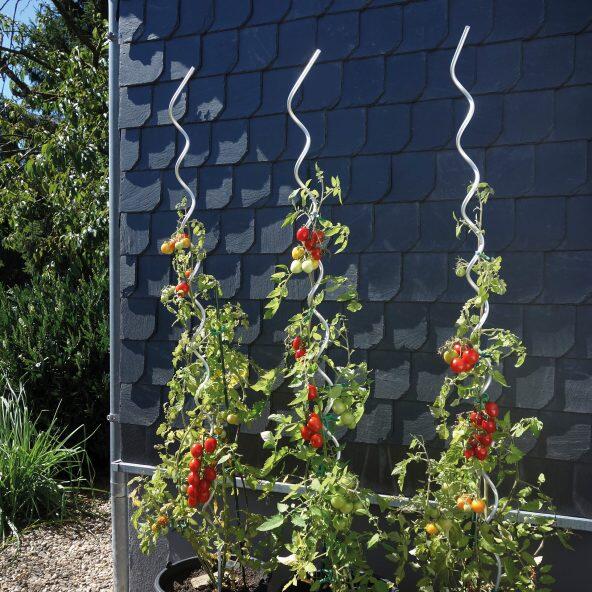 GARDENLINE 				Estacas para Tomateiros/ Plantas