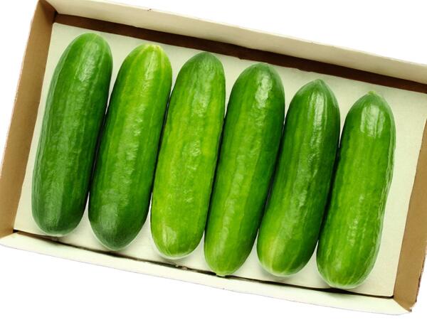 Snack Gurken
