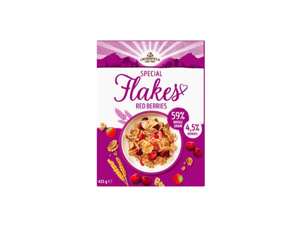 Breakfast Cereal