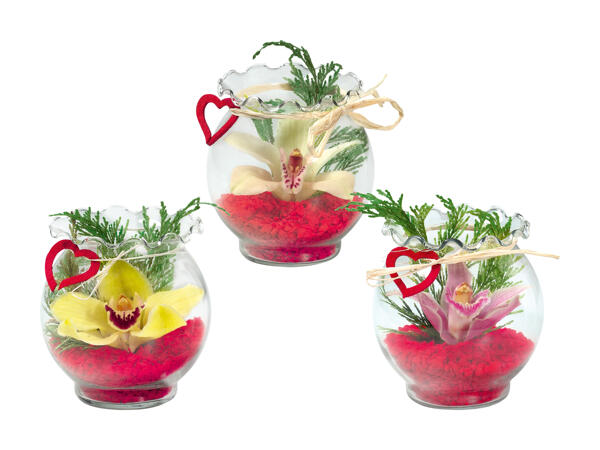 Orchidées dans un verre à bord ondulé avec Père Noël