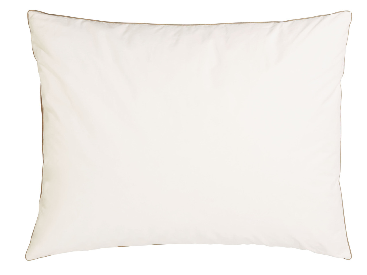 Pillow 50x80cm