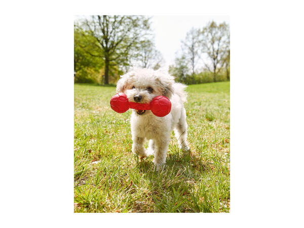 Nerf Dog Dog Toy