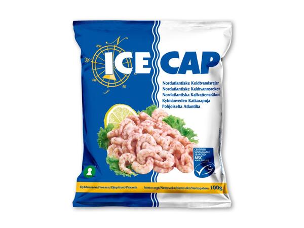 ICECAP Rejer
