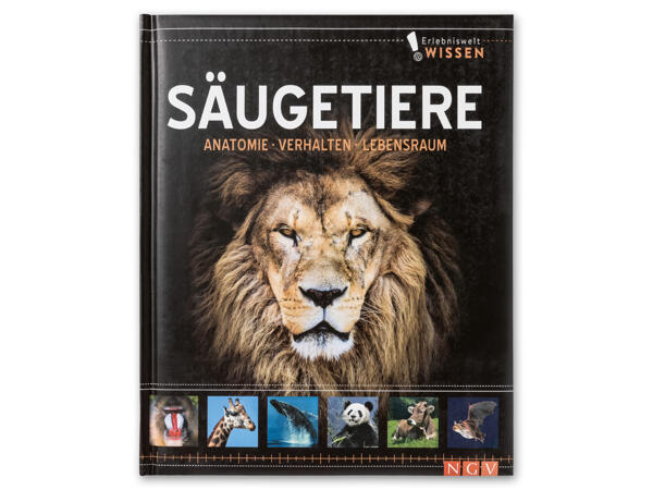 Kinder Wissensbuch