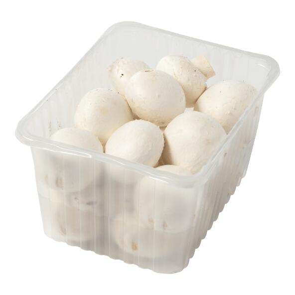 Champignons