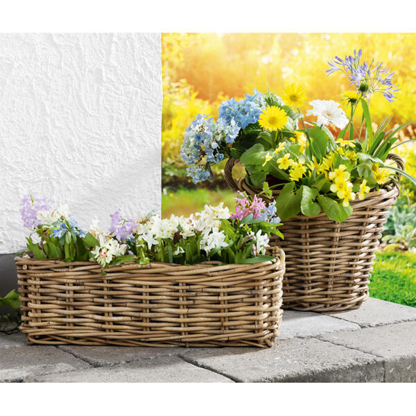 Rattan-Pflanzkorb oder -Pflanzkasten