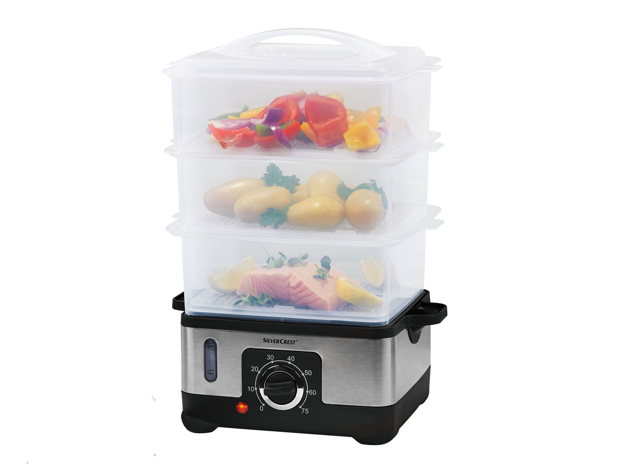 Electric Steamer
