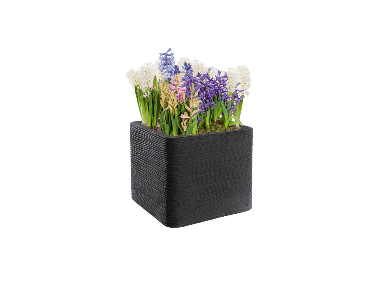 FLORABEST(R) Blomsterkrukke