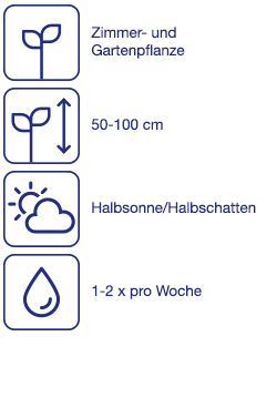 Winterharte Ziergräser