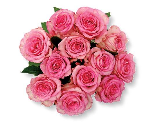 12 Stem Rose Bouquet Assorted Colors