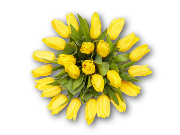 Tulip Abundance Bouquet