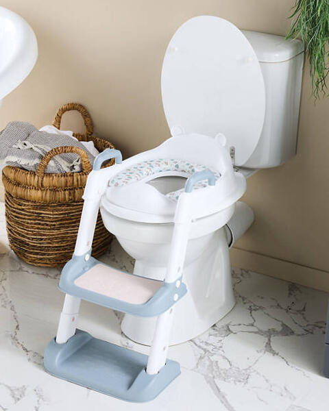 Toilet Trainer Stairs