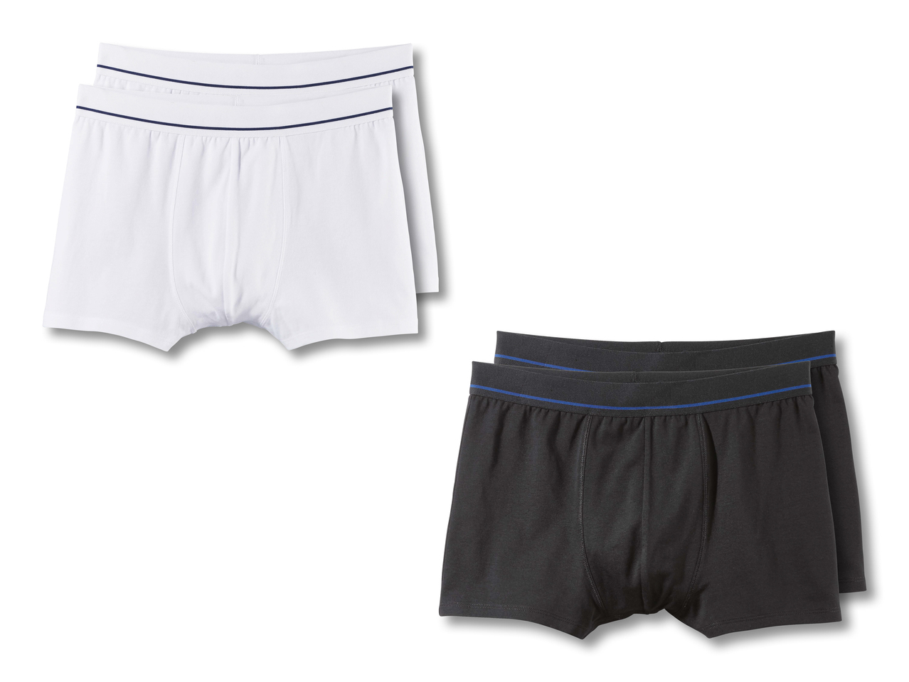 Boxer, 2er1