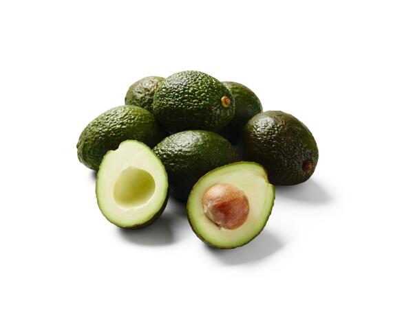 Avocat