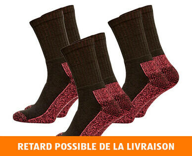 DICKIES(R)
CHAUSSETTES POUR HOMMES