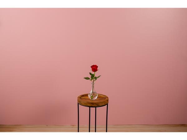 Single Rose