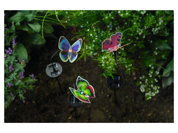 Decorative Solar Light