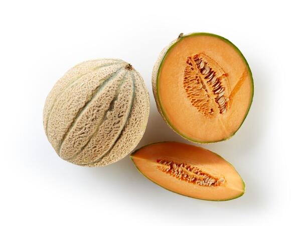 Netted Skin Melon