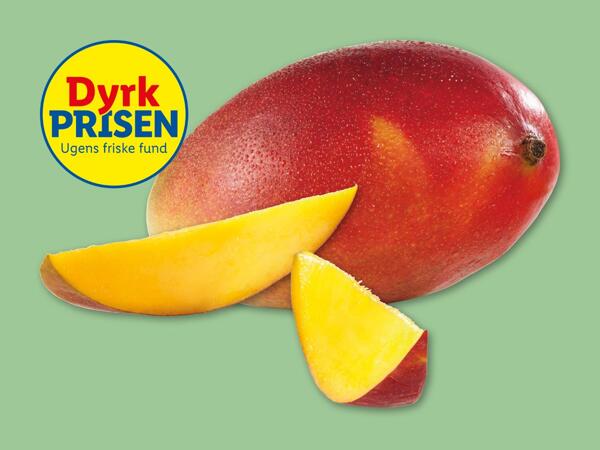 Mango
