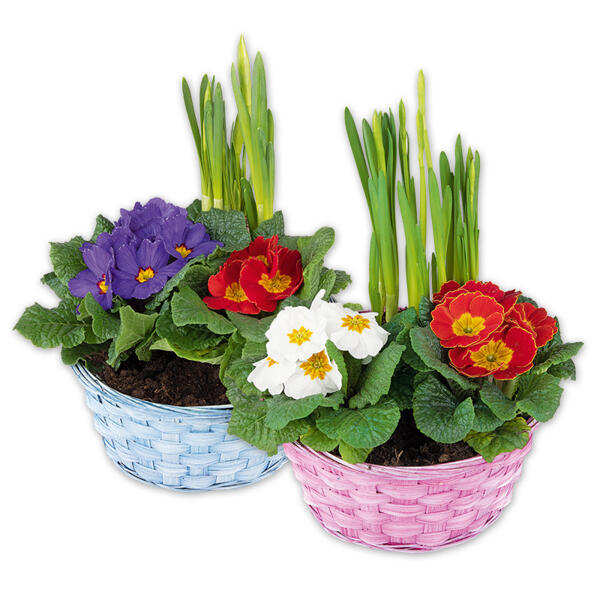 Bunter Frühlingskorb