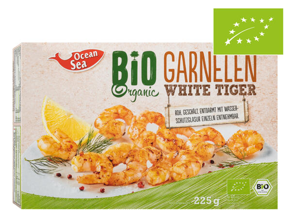 Bio Garnelen White Tiger