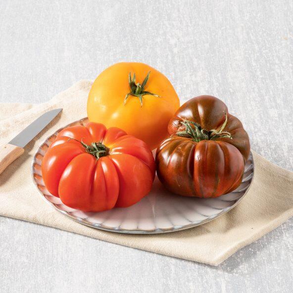Tomates d'antan