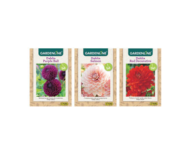 Dahlia and Gladioli Packet Bulbs
