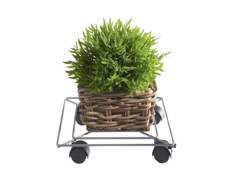 LIVARNO LIVING Plant Roller