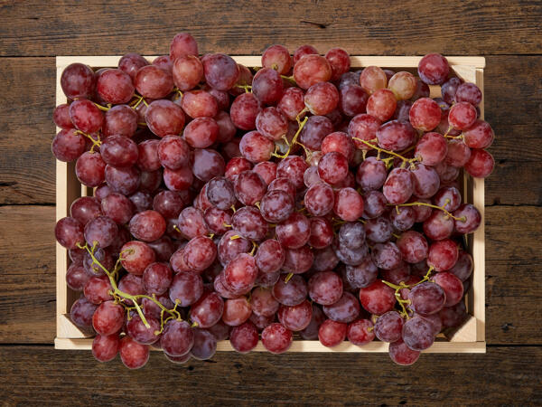 Raisin Red Globe