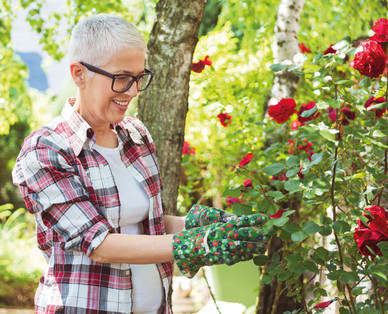 GARDENLINE Profi-Gartenschere