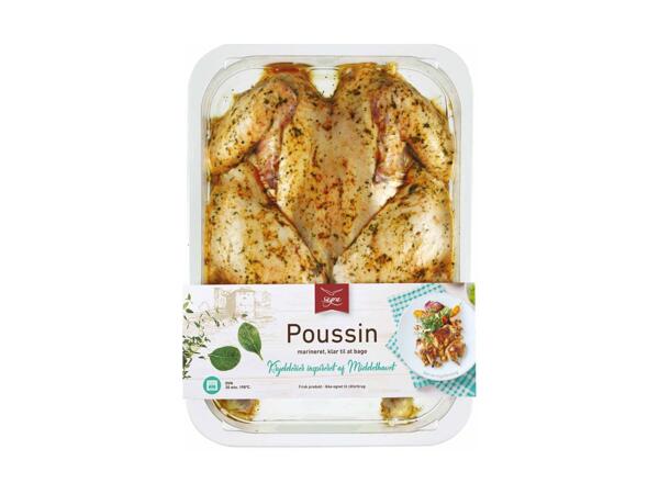 Marineret butterfly eller friland yellow poussin