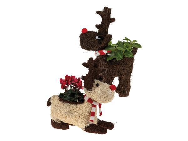Decorative Reindeer