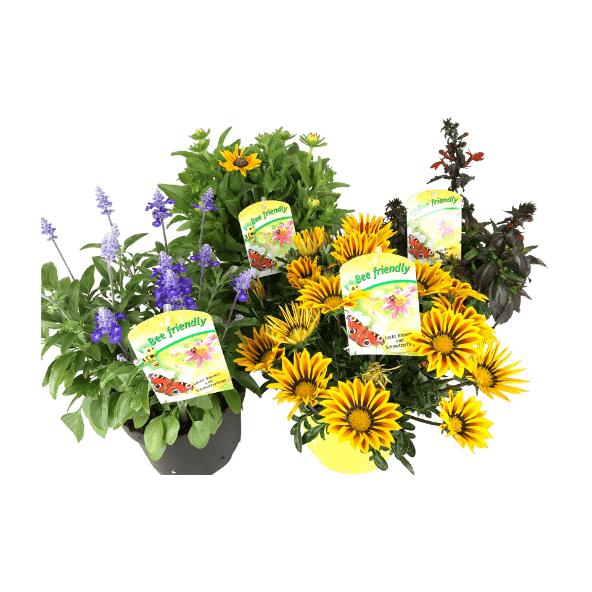 Bivenlige blomster