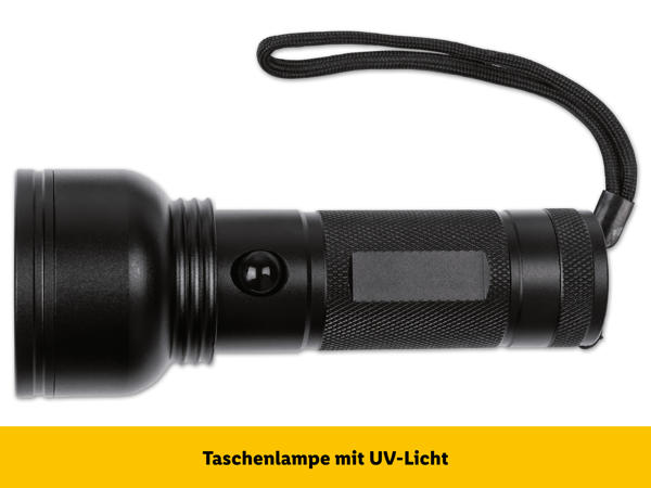 LIVARNO LUX(R) LED-Taschenlampe